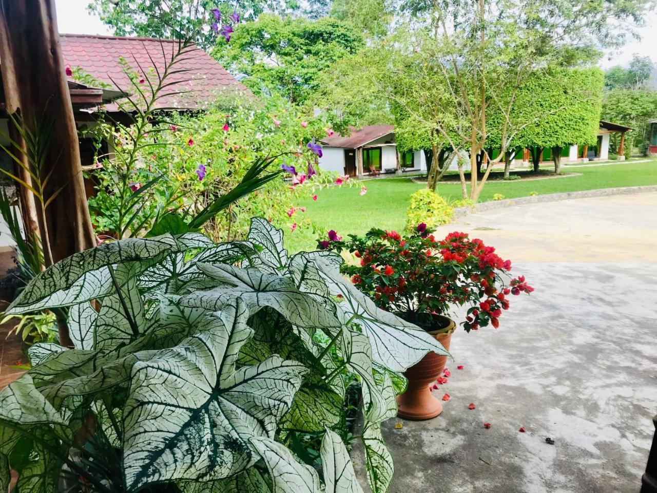 Hosteria Tierra Dorada Yantzaza Ngoại thất bức ảnh